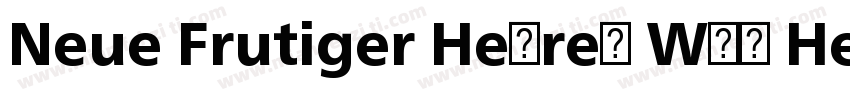 Neue Frutiger Hebrew W05 Heavy字体转换